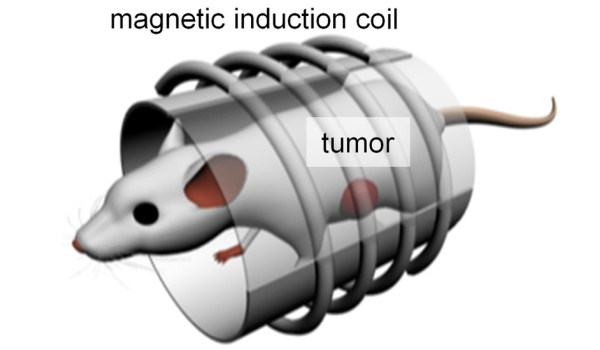nanomagneti, distruge cancerul