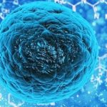 Studiu al MIT, citat de MEDLIFE: Postul, în special POSTUL NEGRU, poate creste capacitatea de regenerare a celulelor stem
