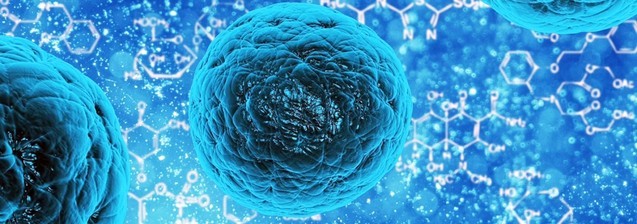 Studiu al MIT, citat de MEDLIFE: Postul, în special POSTUL NEGRU, poate creste capacitatea de regenerare a celulelor stem