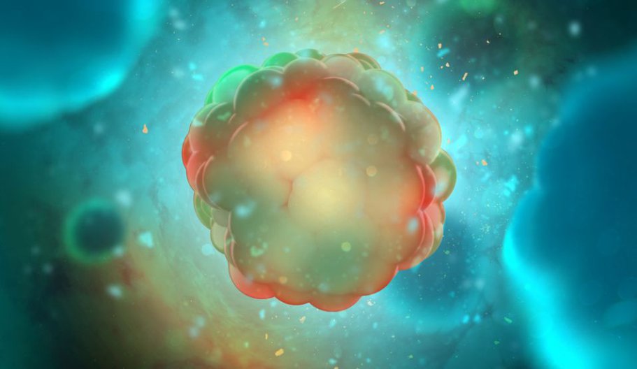 ADN-ul ''dezordonat'' favorizează capacitatea celulelor canceroase de a se adapta la tratamente